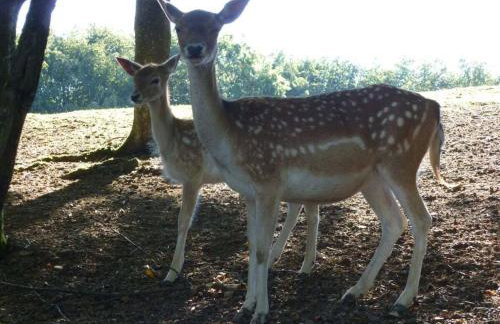 Neumühle from April 2014! - Foto 17