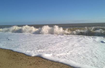 Chauffeur's, Snape - Foto 32