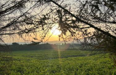 Cruna di Subida Wine Country House - Foto 51