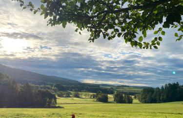 Hanauerhof - Foto 24