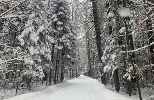Mountain Views! Copper Cannon Lodge in Franconia - Photo 8