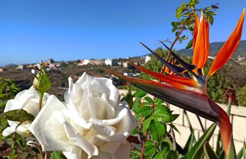 Finca Aurora quiet holiday flat with pool and great mountain and sea views - Foto 25