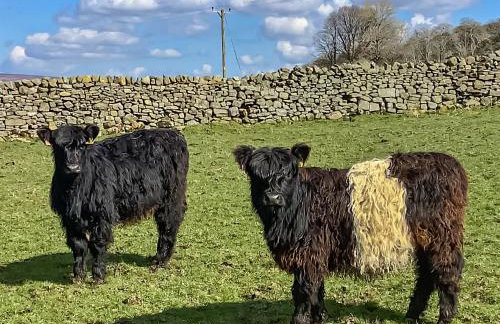 Aysgill Cottage - Foto 11