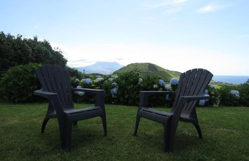 Quinta do Avô Brum - Foto 20