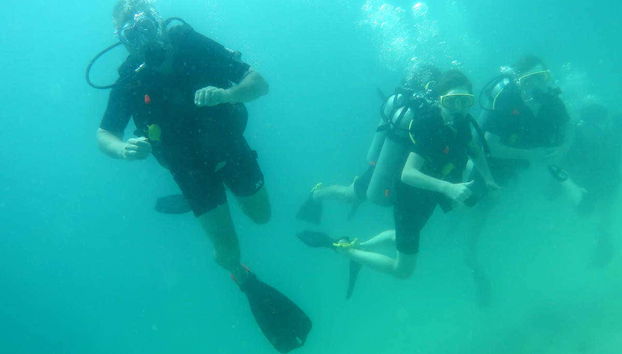 Buceadores en el Parque Marino de Phi Phi