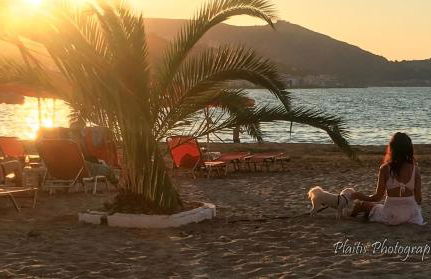 Livingfy Apt with mountain view & garden - Foto 16