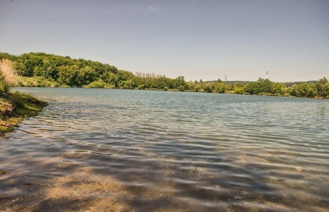 Dresdner-Tag Rosenherz - Foto 27