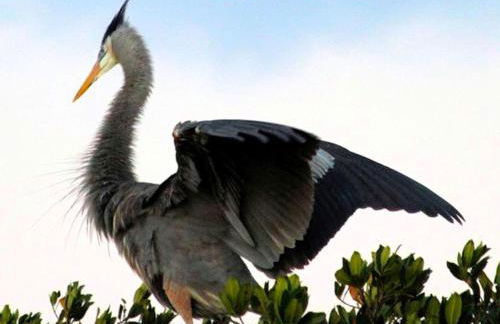 Upcycled Shipping Containers Transformed into a Glamping Home for a Unique Florida Vacation - Foto 40