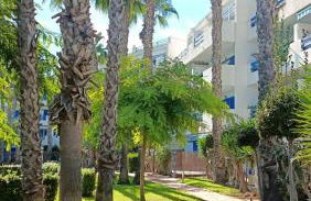 APARTMENT PALMAS DE COCO - Foto 34