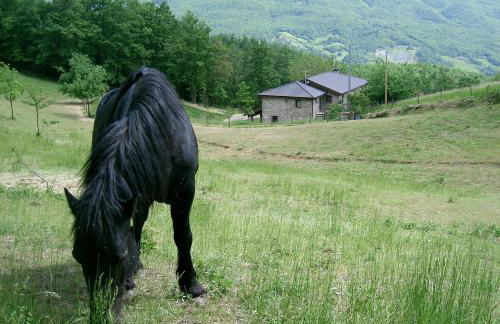 Agriturismo Le Querciole - Photo 46