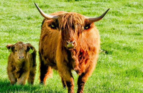 Appleyard Cottage - Yorkshire Dales - Photo 23