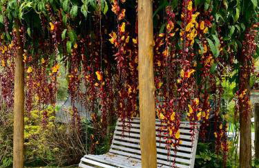 Casa de Campo Chácara Recanto da Águia - Foto 56