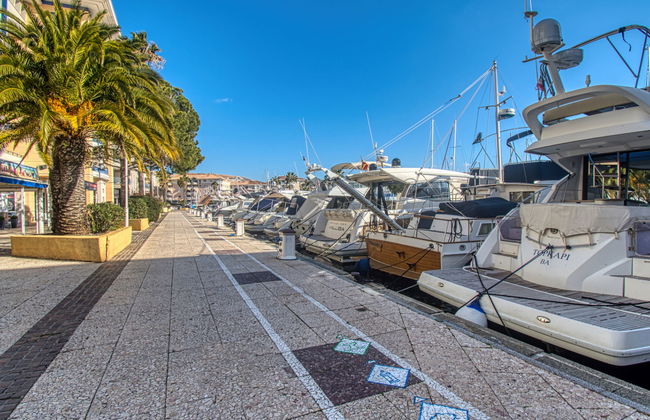 Quartier Latin - Foto 29