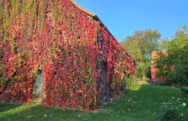 Ferienhaus Pathe - Foto 14