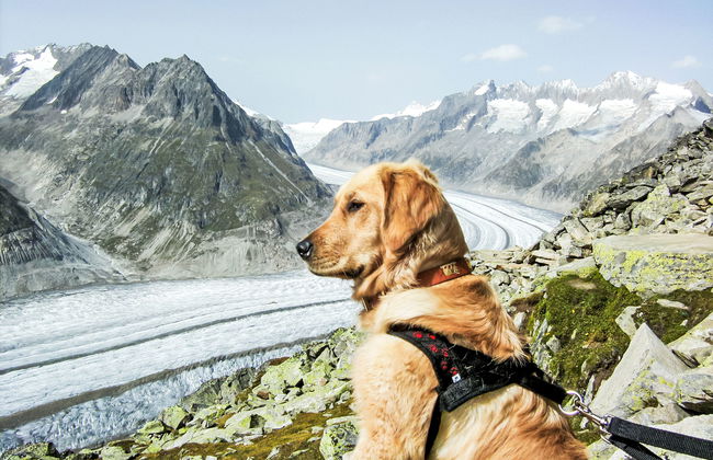 Aragon P36 - Foto 67