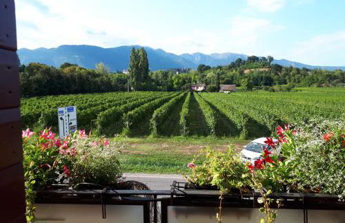 Kia ora Suite Apartment - Foto 60