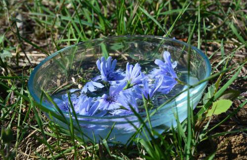 Casale Dionisia, Santa Maria di Castellabate - Foto 74