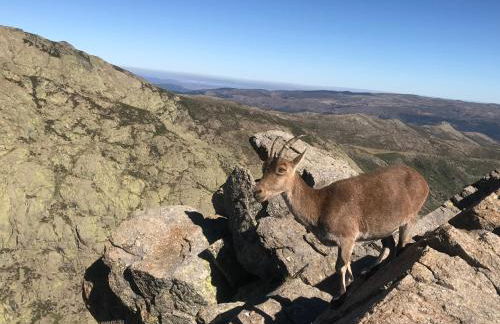 EL LLANO - El Hornillo, tu pueblo en la Sierra de Gredos. - Photo 55