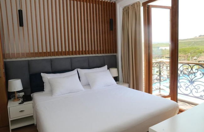 Vinea Resort & SPA - Foto 6