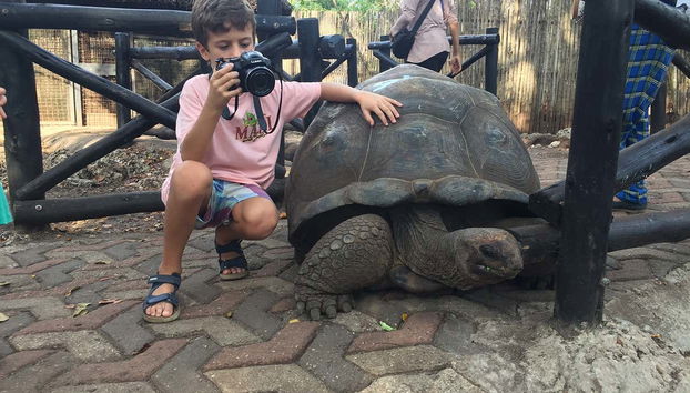 Un bambino con una simpatica tartaruga