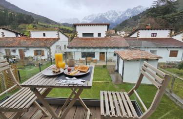 Mirando a los Picos de Europa - Photo 37