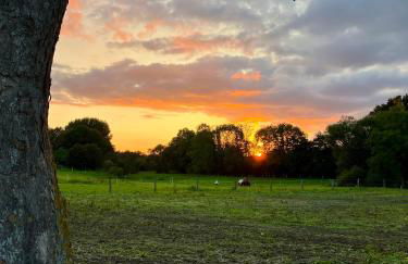 Lille Hus - nah am Meer I Entschleunigen im Grünen - Foto 29