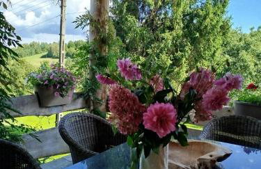 Dom Wakacyjny Brzozowy Gaj Bieszczady - Foto 64