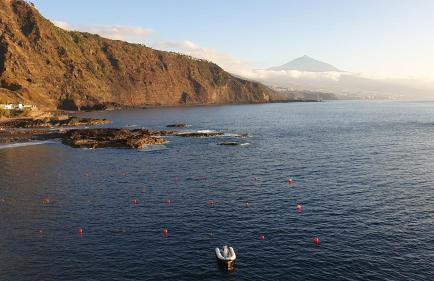 Crepúsculo - Foto 67