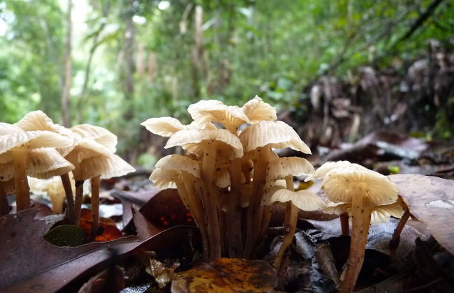 Bellthorpe Stays - Foto 53