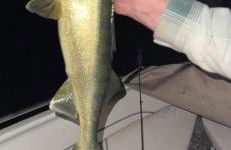 New Custom Big McDonald Lake Cabin With Pickle Ball - Foto 25