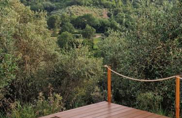 Sant'Anselmo - Foto 26