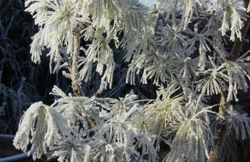 Gästehaus Margerite - Photo 11