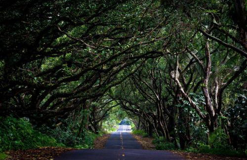 The Bali House and Cottage at Kehena Beach Hawaii - Foto 30