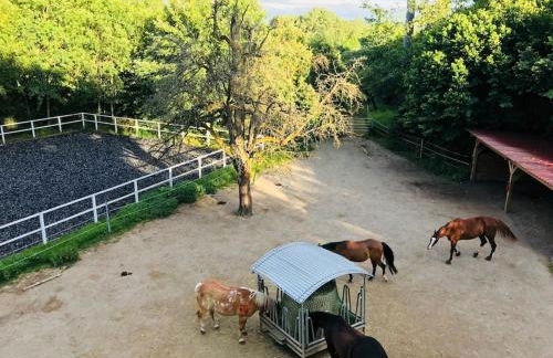 Zauberhafte Ferienscheune im Hofgut Alte Ölmühle - Foto 7