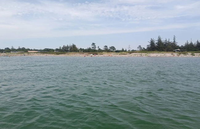 4 Person Holiday Home in Store Fuglede-by Traum - Foto 42