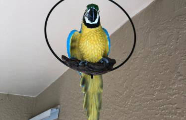 Tiki Paradise House & pool - 10 min to Beach! - Foto 20