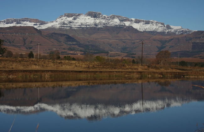 Ardmore Guest Farm - Photo 57