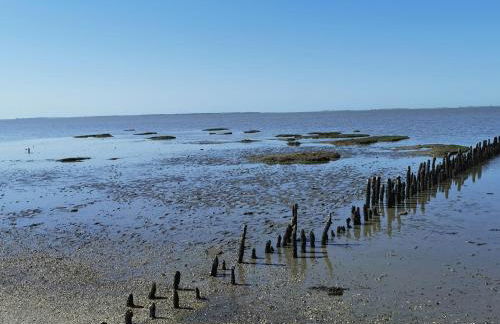 KleinAberFein an der Nordseeküste - Foto 31
