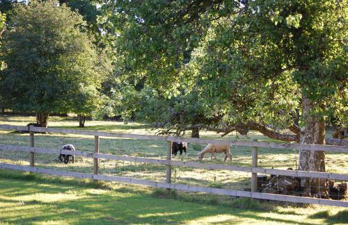 Dryslwyn Cottage - Foto 40