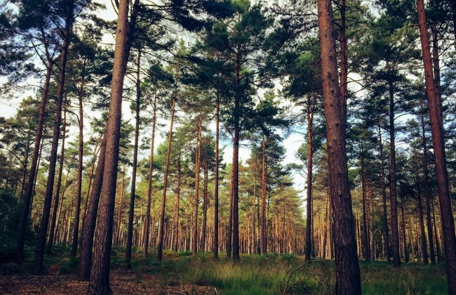 Brand New 1 Bed Apt - Seven Stays Bracknell - Foto 15