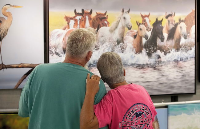 Key West Cottages - Photo 42