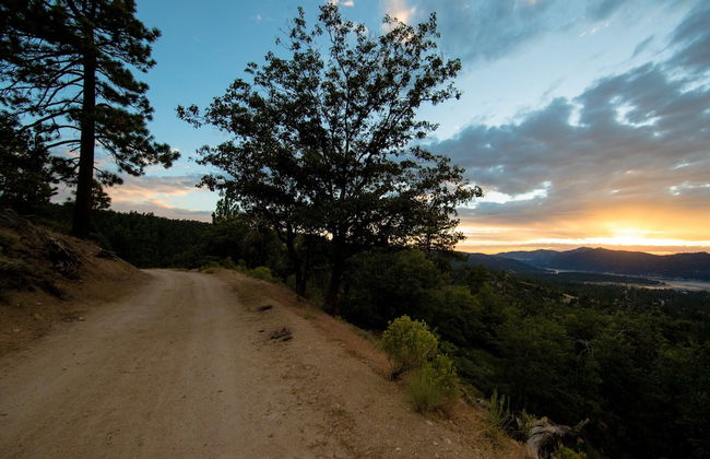 Pinglewood Cabin #2096 - Foto 15