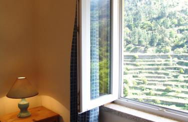 Quinta Casal De Vila Pouca - Foto 4