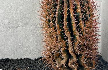 Casa MIALMA LANZAROTE - Foto 63