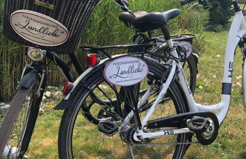 Ferienwohnung Landliebe - Foto 77