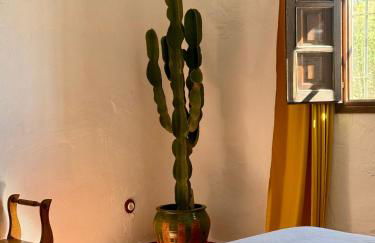 El Cielo, Cortijo en el corazón de las montañas - Foto 16