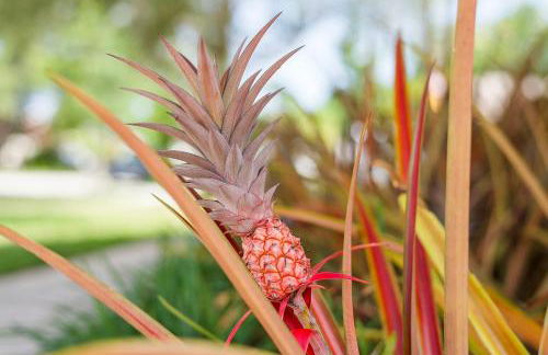 Family Fun | Pool | Game Room | Near Chase Stadium - Foto 69