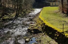 Ferienwohnung Frankenwald - Foto 23