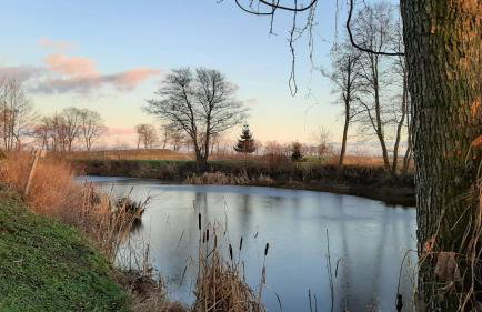 Orzechowy Dworek - Foto 41