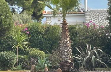 POLE POLE beautiful villa in Mati - Foto 48